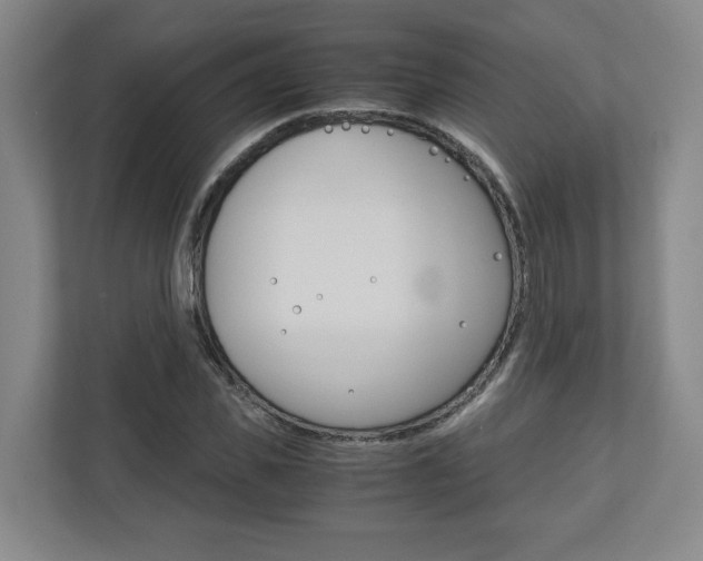 X0000110930925200906181153