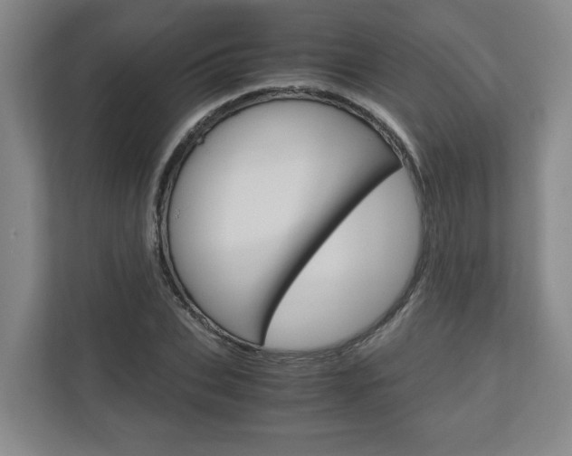 X0000110930927200906181153