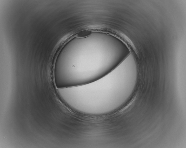 X0000110930930200906181153