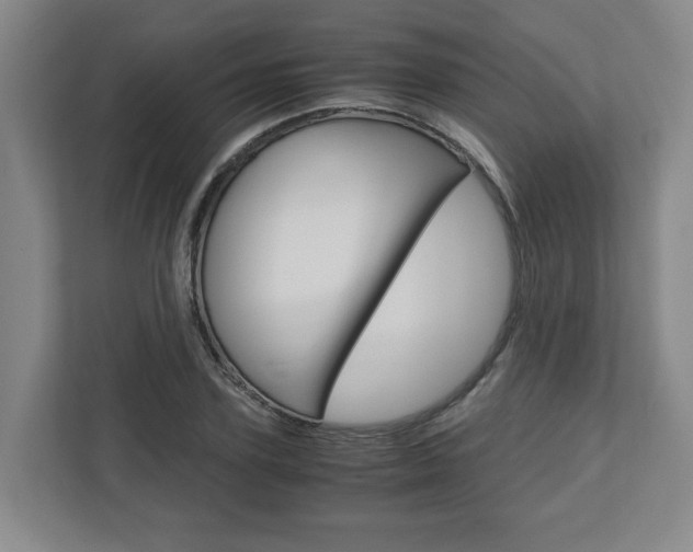 X0000110930931200906181153