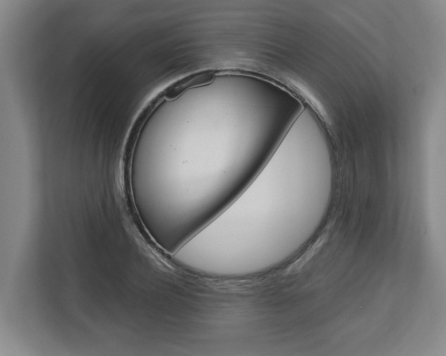 X0000110930932200906181153