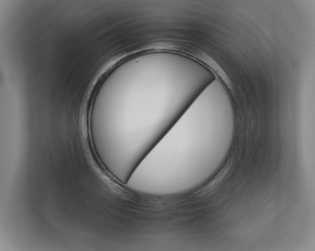 X0000110930939200906181153