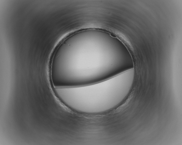 X0000110930942200906181153