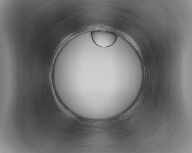 X0000110930946200906181153