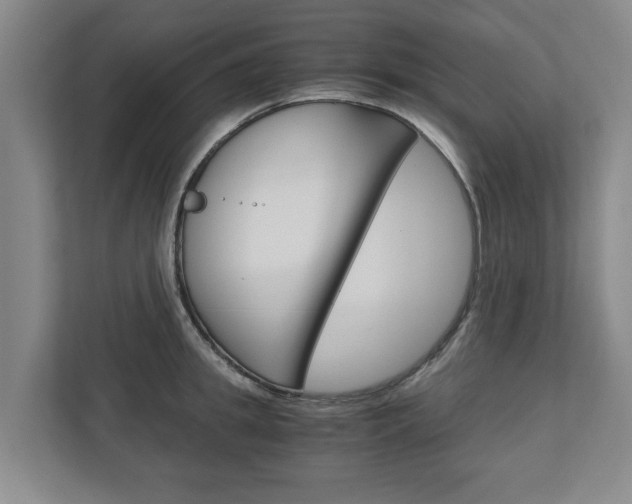 X0000110930949200906181153