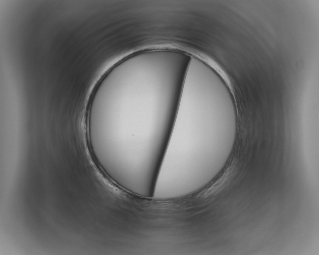 X0000110930951200906181153