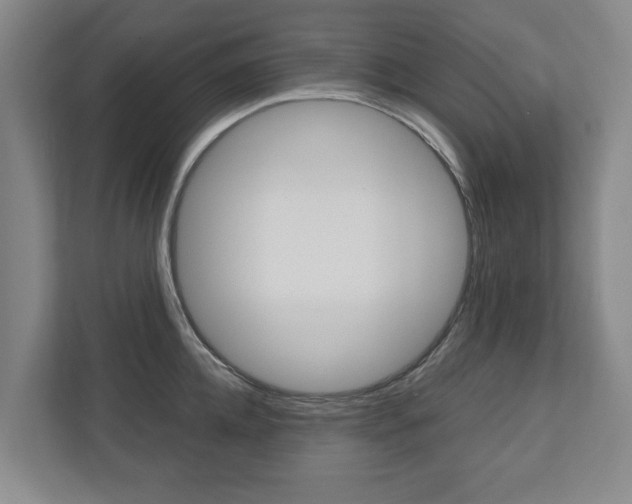 X0000110930952200906181153