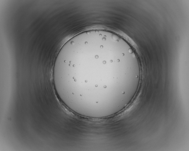 X0000110930953200906181153