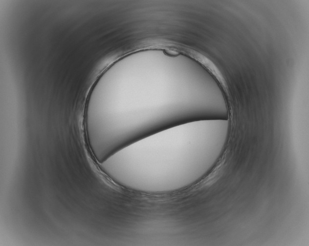 X0000110930954200906181153