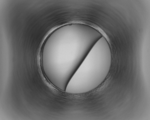 X0000110930955200906181153