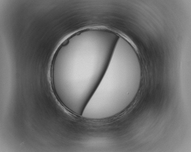 X0000110930959200906181153