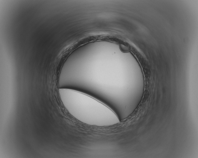 X0000110930967200906181152