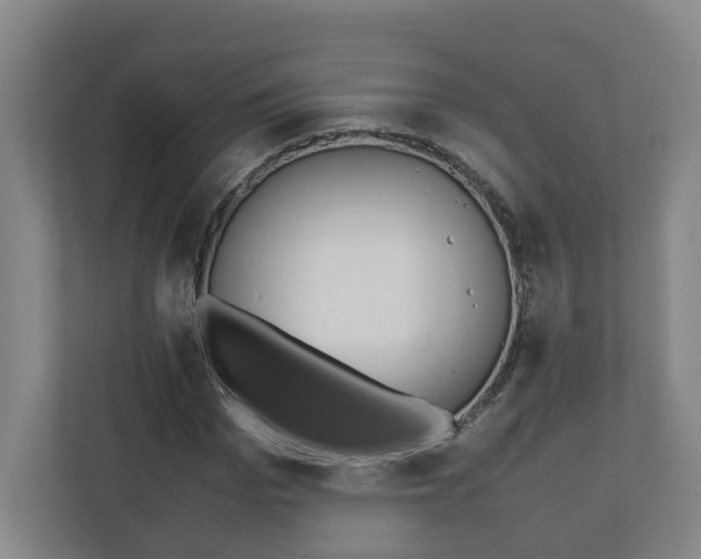 X0000110930969200906181152