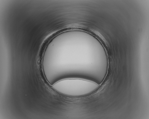 X0000110930971200906181152