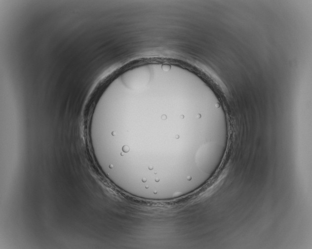 X0000110930974200906181152