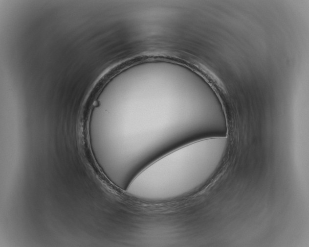 X0000110930976200906181152