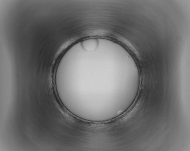 X0000110930978200906181152
