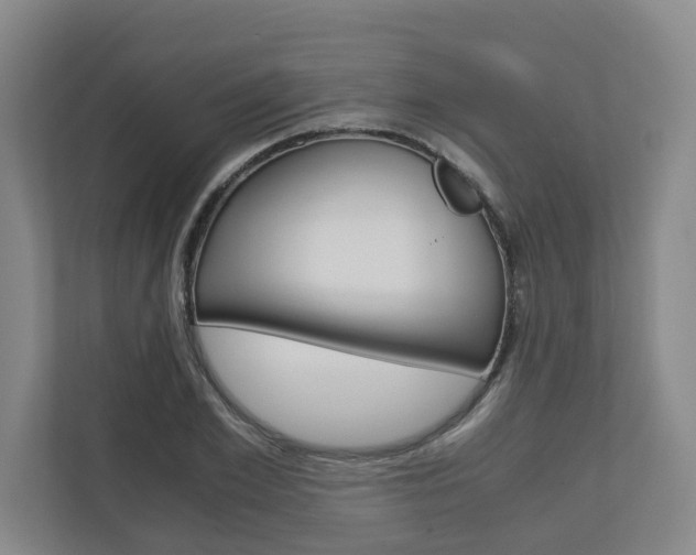 X0000110930981200906181152