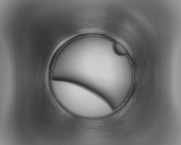 X0000110930983200906181152