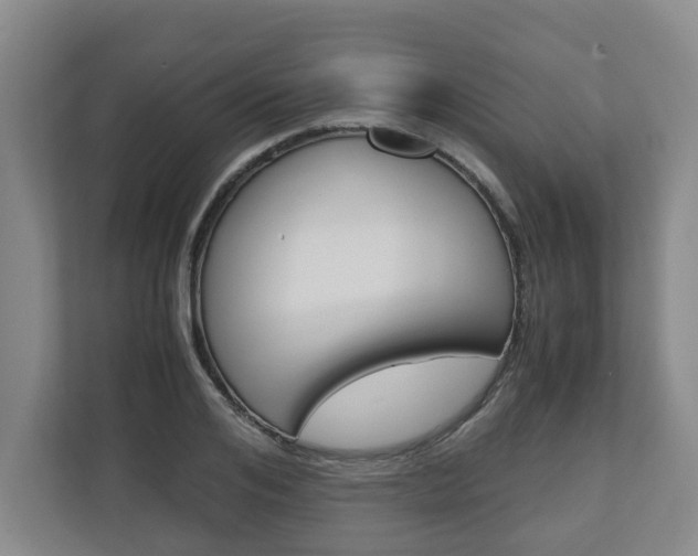 X0000110930984200906181152