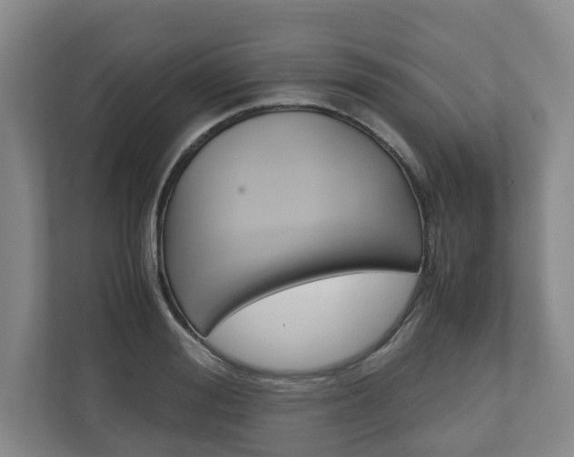 X0000110930988200906181152