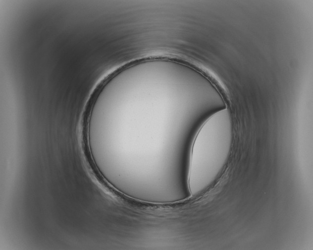 X0000110930991200906181152