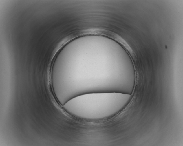 X0000110930994200906181152