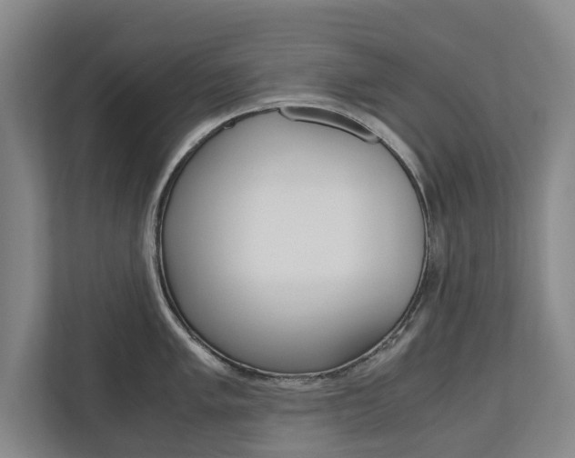 X0000110931005200906181152