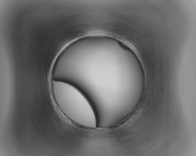 X0000110931008200906181152