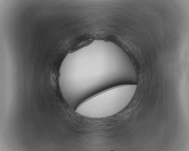 X0000110931010200906181151