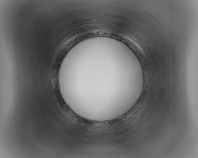 X0000110931015200906181151