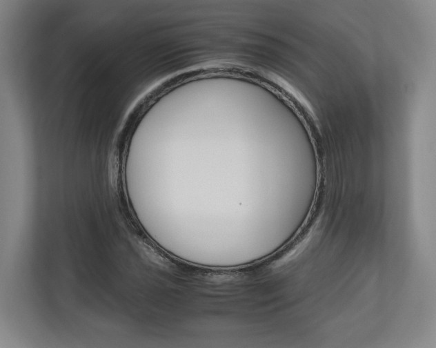 X0000110931021200906181151