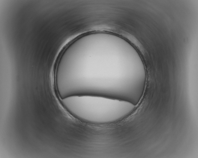 X0000110931032200906181151