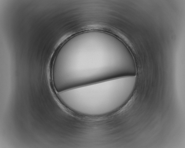 X0000110931034200906181152
