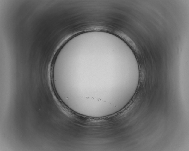 X0000110931039200906181152