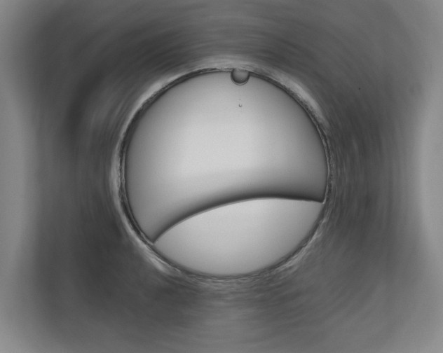 X0000110931040200906181152