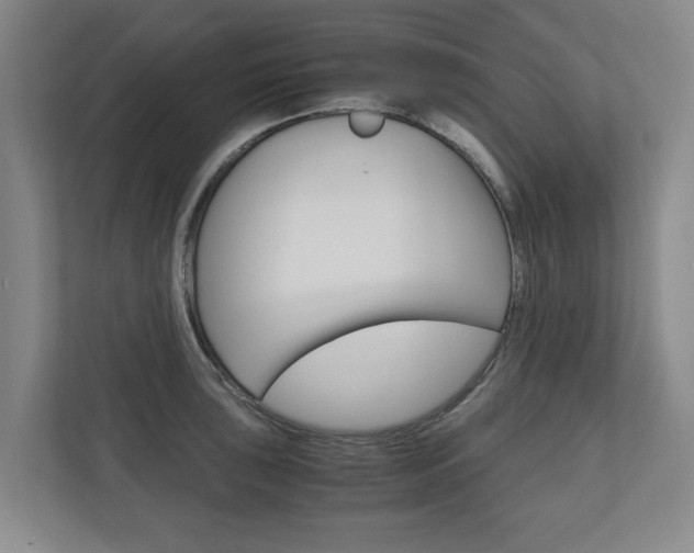 X0000110931043200906181152