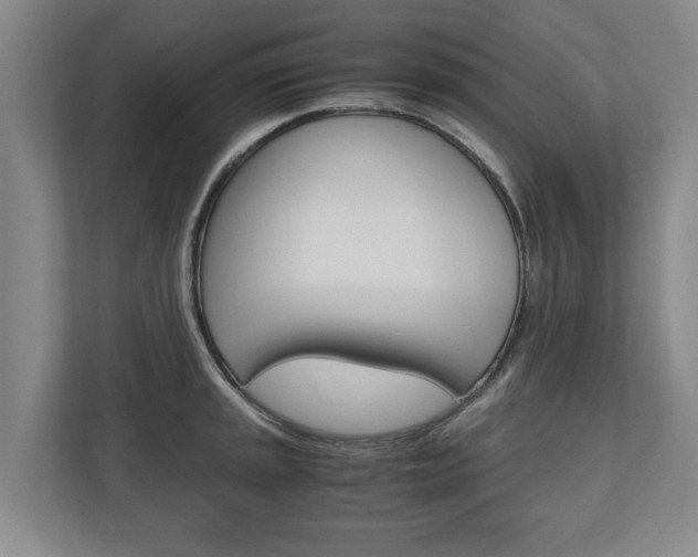 X0000110931045200906181152