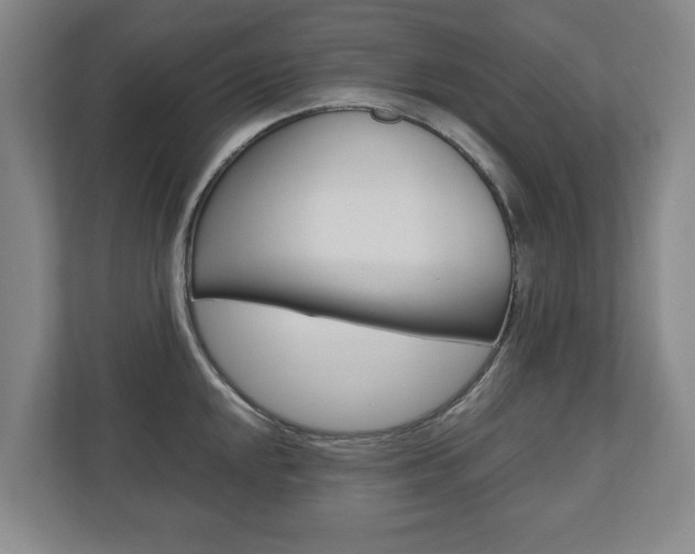 X0000110931048200906181152