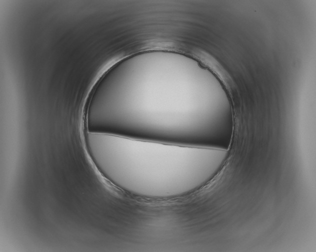X0000110931050200906181152