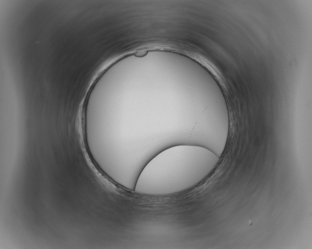 X0000110931055200906181152