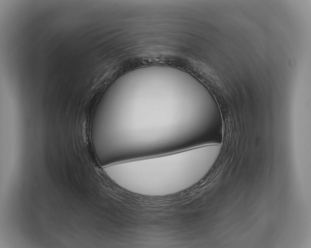 X0000110931060200906181151
