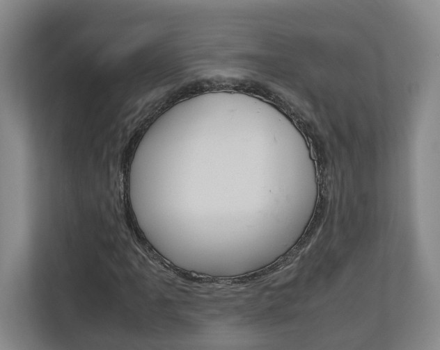 X0000110931061200906181151