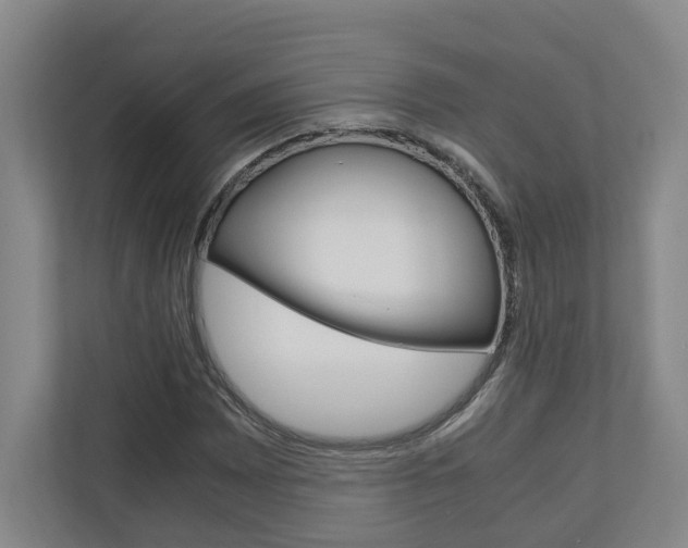 X0000110931065200906181151