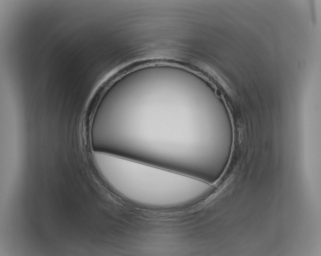 X0000110931069200906181151