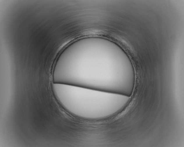 X0000110931073200906181151
