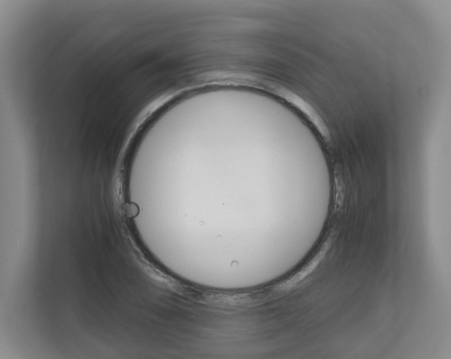 X0000110931074200906181151