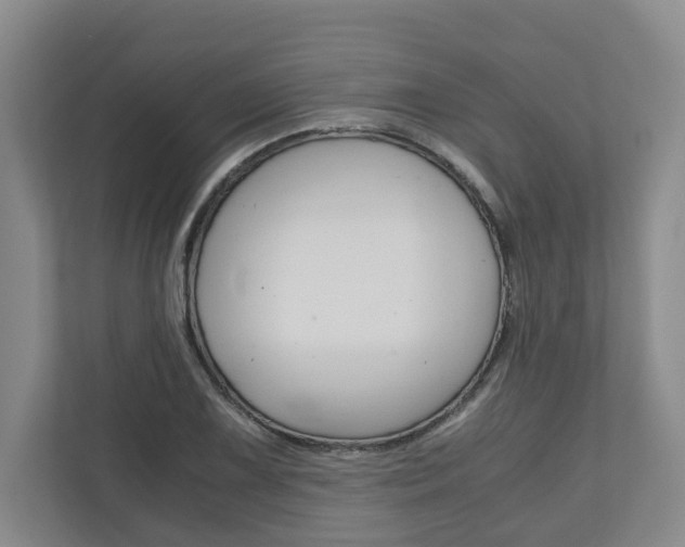 X0000110931075200906181151