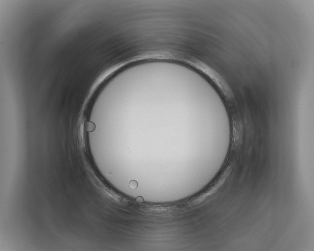 X0000110931078200906181151