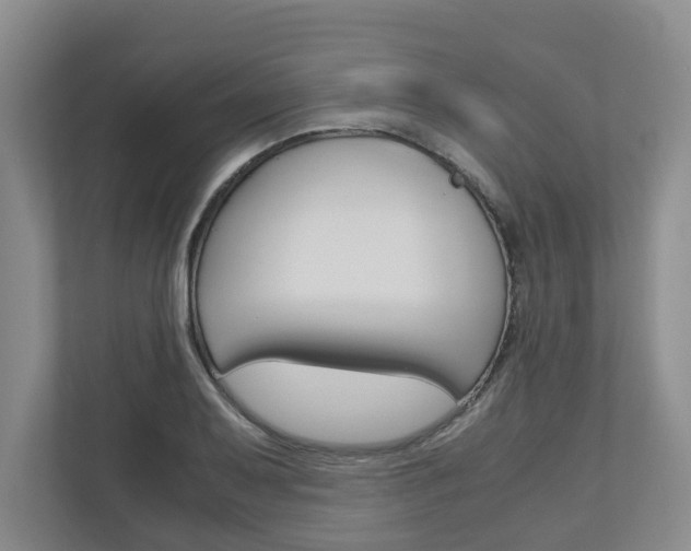 X0000110931079200906181151